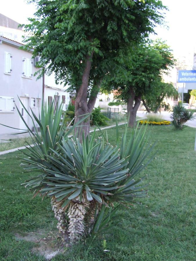 Kuca Za Odmor Matko House Matko Villa Pag Town Eksteriør billede
